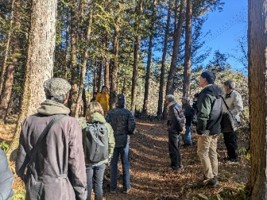 トピック画像[7]